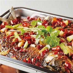 烤鱼上瘾爆料视频下载,揭秘视频背后的美食诱惑与成瘾之谜  第1张