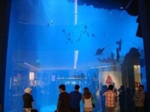 迪拜爆料新闻事件视频,惊曝新闻事件视频揭秘 第1张 迪拜爆料新闻事件视频,惊曝新闻事件视频揭秘 第1张